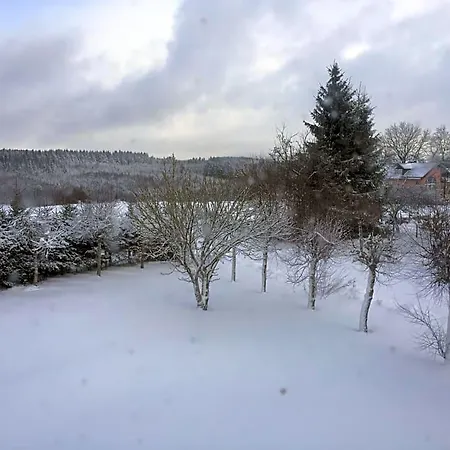 Haus Buylbergh 3*